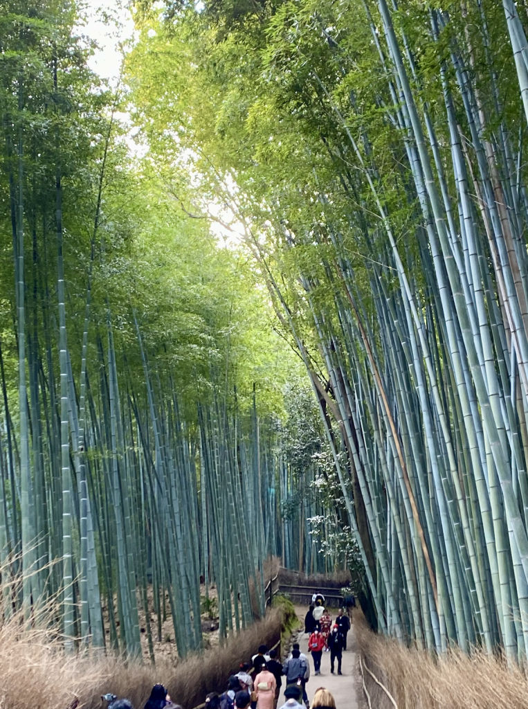 Arashiyama Bamboo Forest